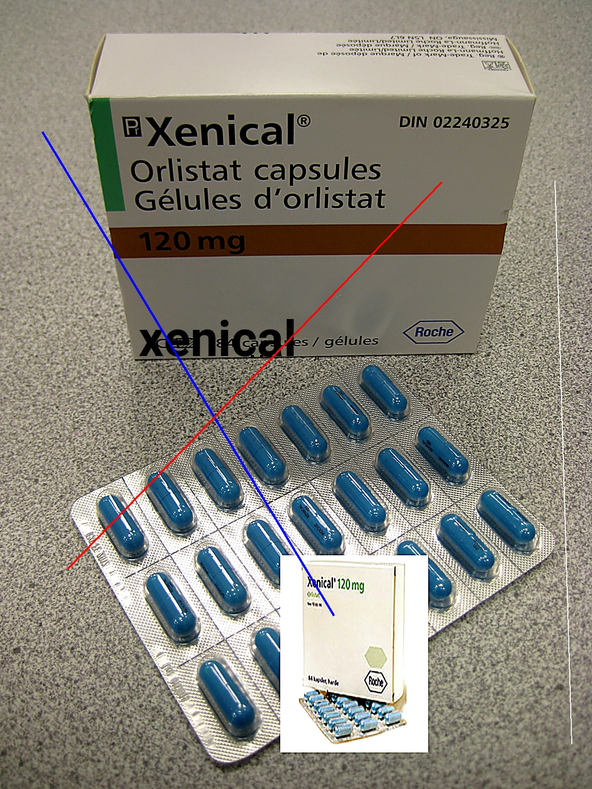 Prix xenical 2013